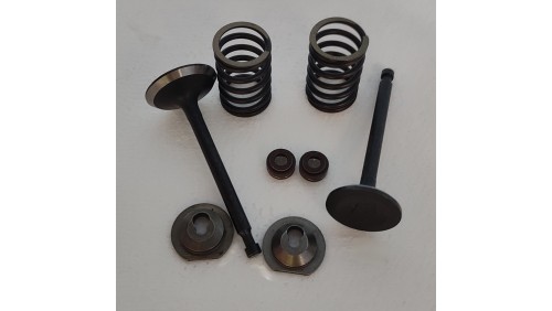 Клапаны (комплект) м/б 188F