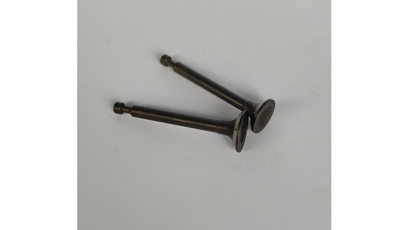 Клапаны мотокосы 4T 139F