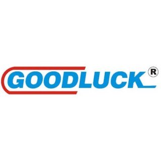 Запчастини на бензопилу Гудлак (Goodluck) 2500, 3800, 4500, 6200