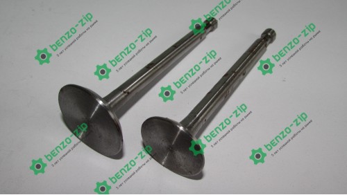 Клапаны (комплект) м/б 175N/180N (7/9Hp) (D-32,d-27, H-97)