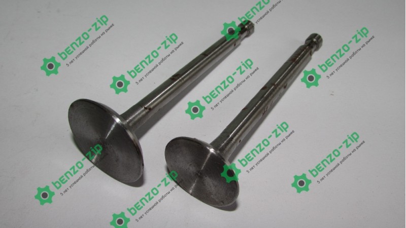 Клапаны (комплект) м/б 175N/180N (7/9Hp) (D-32,d-27, H-97)