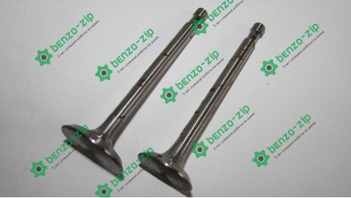 Клапаны (комплект) м/б 175N/180N (7/9Hp) (D-32,d-27, H-97)