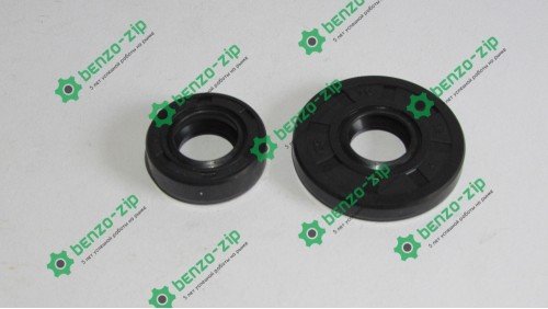 Сальники Goodluck 3800 комплект