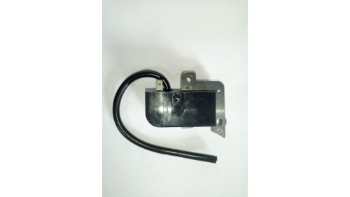 Зажигание для мотокосы ECHO GT22 Зажигание для мотокосы ECHO GT22